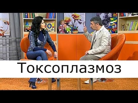 Токсоплазмоз - Школа доктора Комаровского