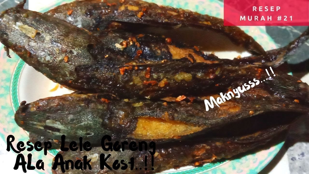 Resep Lele Goreng ALa  Anak  Kost  21 YouTube