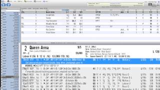 Post Time Daily 2.0™ Tutorial: Selections