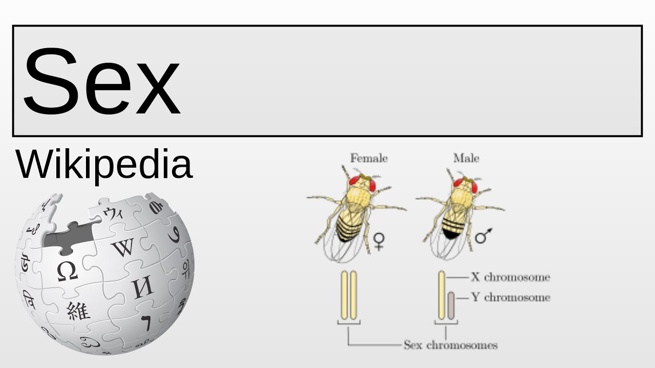 Sex Wikipedia Youtube