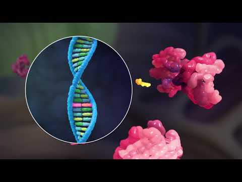 3D Video Understanding ATTR Amyloidosis