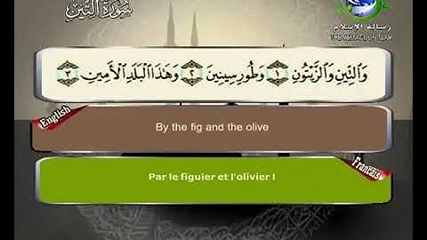 (95) سورة التين _ المصحف المرتل للشيخ سعد الغامدي _ ختمة مرتلة لسور القرآن الكريم