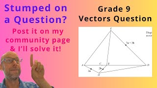Grade 9 Vectors Exam Question #igcsemaths