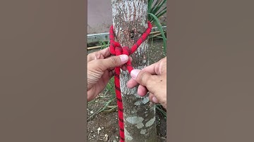 Incredible Loop Knot  #survivalknots #knotskill #knotting