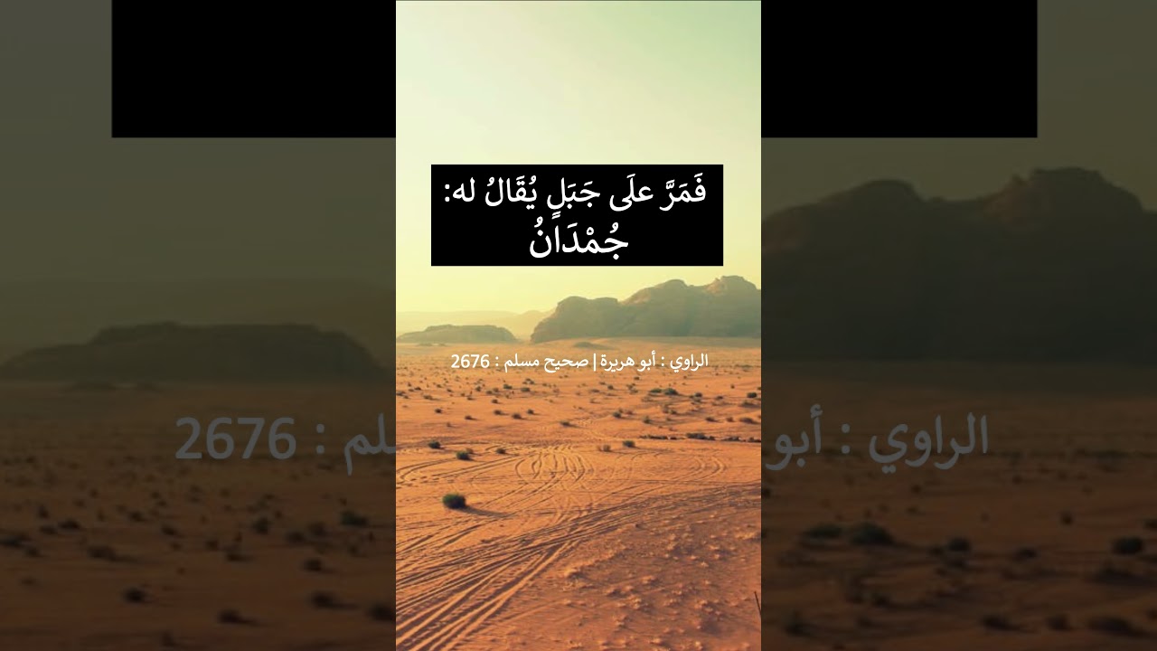 سبق المفردون - الشيخ عبد الرزاق البدر