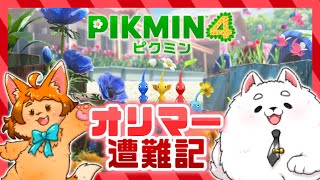 【ピクミン４】できるだけコンプするぞ！！！✨【ED後】
