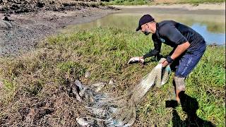 O que tinha de traíra nesse atoleiro... #peixeassado 🔥