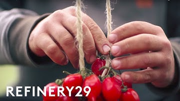 See Why We Love Tomatoes From Italy | Sourced: Italy | Refinery29
