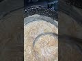 شعيرية بالحليب