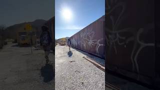 Another Day Exploring With My Friend