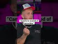 Jake Paul says Canelo Alvarez is scared of David Benavidez #shorts