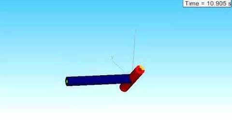 Intermediate Axis Simulation