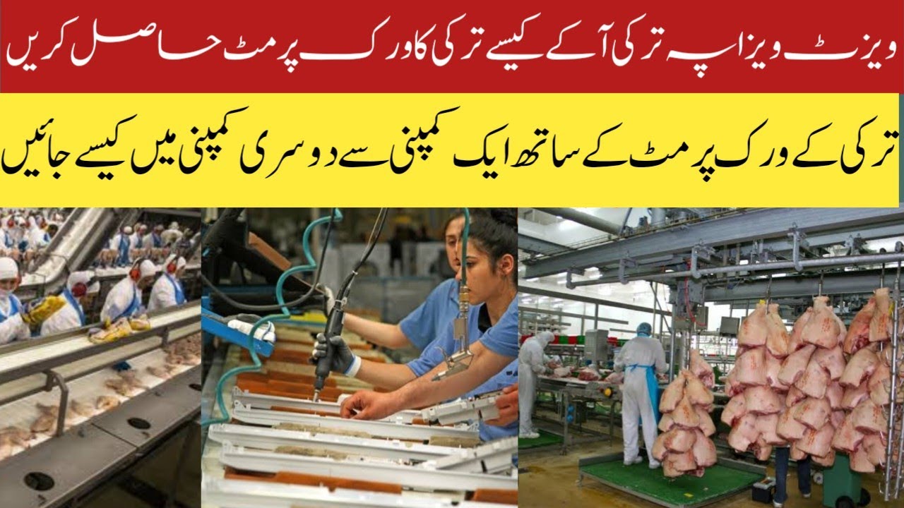 how-to-change-work-permit-in-turkey-2024-turkey-work-permit-update-2024