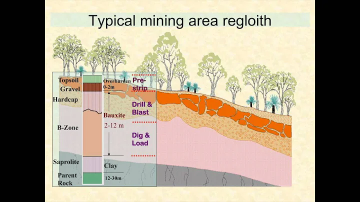 Mark Tibbett - Carbon accumulation & the return of...