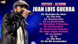 Juan Luis Guerra EXITOS, EXITOS - Sus Mejores Canciones - Juan Luis Guerra Mix 2024
