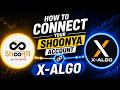 How to connect your SHOONYA account in X-ALGO| X-ALGO GLOBAL LLP | Copy Trading &amp; Algo Trading India