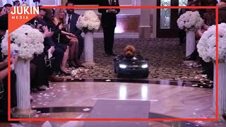 Dog Drives Down Wedding Aisle in Tiny Toy Car