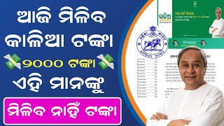 Kalia Yojana Money Transfer Date 2024 | Kalia Yojana New Update | Kalia Yojana New List #kaliayojana