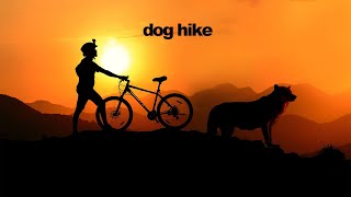 Lost dog trailhead in with husky