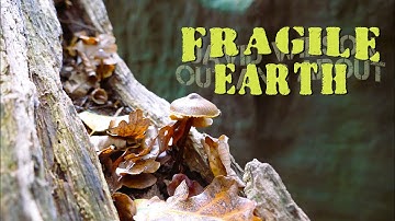 Fotomontage van Fragile Earth bij Eridge Rock.