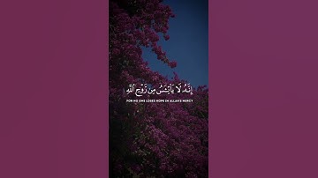 تلاوه من سورة يوسف|بصوت القارئ اسلام صبحي🎧♥️#trending #quran #قران_كريم #راحة_نفسية #قرآن