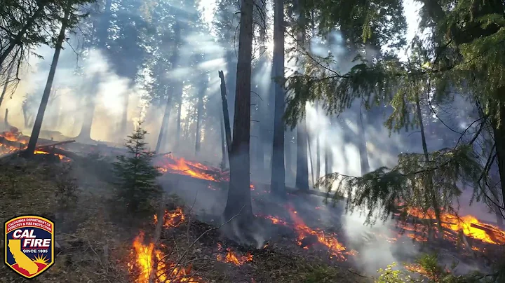 Fuels Reduction Projects in the Wildland Urban Interface