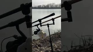 Catfishing