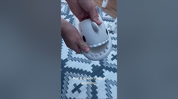 Our Shark Slides are the best! #shorts