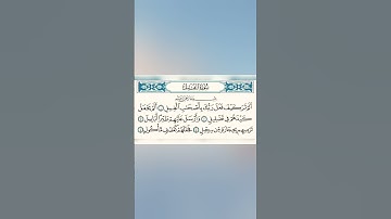 سورة الفيل | بصوت المنشاوي #اسلاميات #المنشاوي