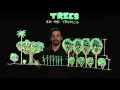 Permaculture trees in the tropics