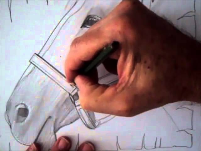 Como desenhar um cavalo árabe  Tutorial de desenho passo a passo