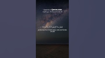 محمد صديق المنشاوي | سورة القيامة من الآية 36 الي الآية 40 #المصحف