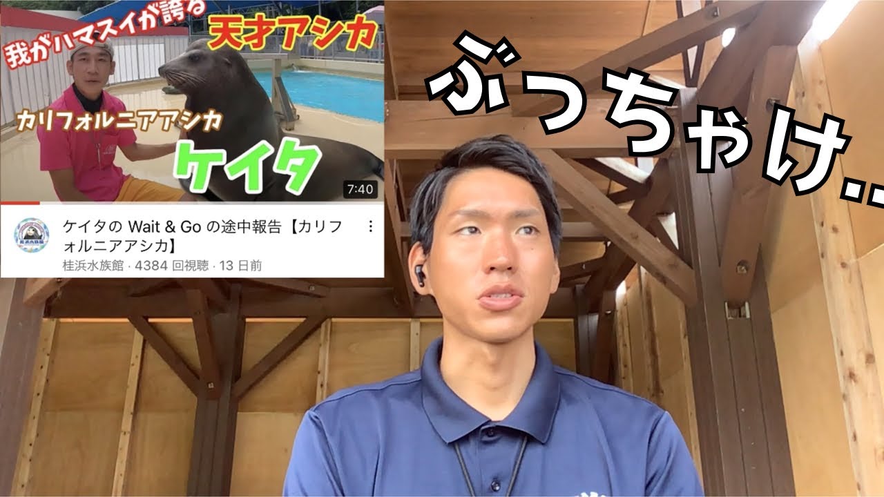 桂浜水族館のトレーニングに物申します【壱岐イルカパーク&リゾート】【桂浜水族館】