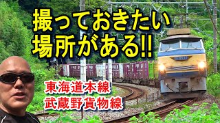 [EF66 27] There's a place you'll want to take a photo of!! Tokaido Main Line, Musashino Freight Line