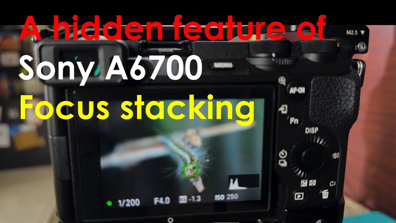 Скрытая функция Sony A6700 – стекирование фокуса