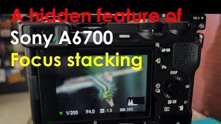A hidden feature of Sony A6700 – Focus stacking