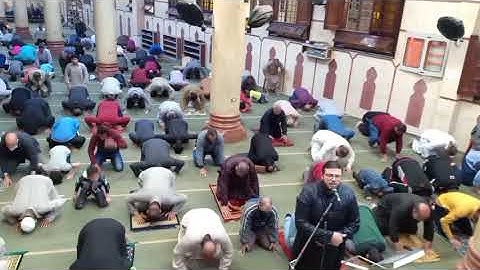 صلاةالقيام رمضان 1442 شاملة الشفع والوتر والدعاء بمسجد الفاروق بشربين أوائل سورة آل عمران