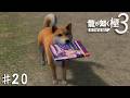 その本を渡すんだ！！！マメ！！！！【龍が如く 極３】＃２０のサムネイル