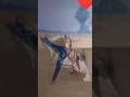 Adita fliper video #comedy #stunt