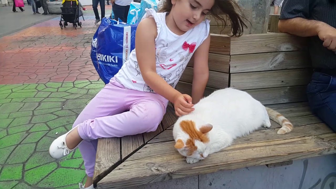 ZÜMRA KEDİ SEVGİSİ YouTube