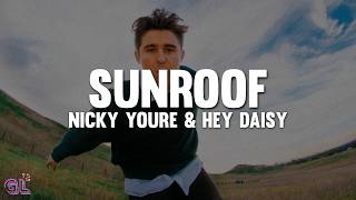 Nicky Youre, hey daisy - Sunroof (Lyrics)