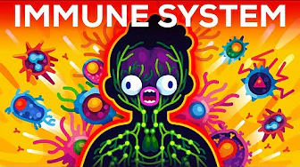 cover of episode How The Immune System ACTUALLY Works – IMMUNE
