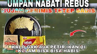 KEJAM NYA NABATI REBUS .... ‼️ HUJAN HUJAN TETEP MAKAN // Racikan Umpan Ikan Mas