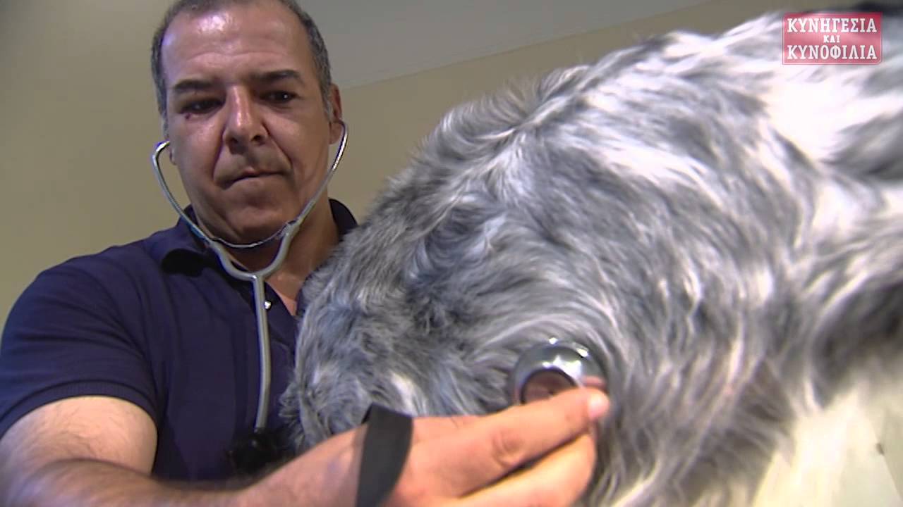 Γιώργος Ρόζος: καλααζάρ-μύθοι και πραγματικότητα