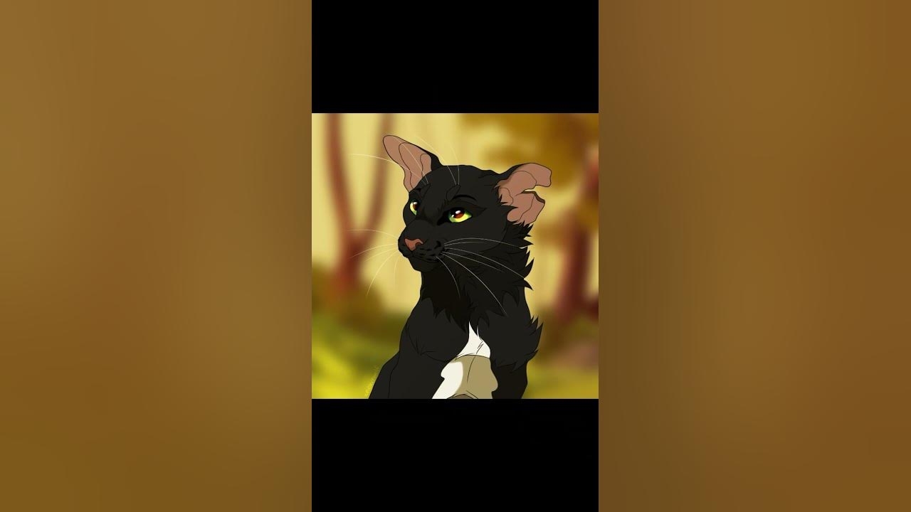 Горелый коты воители ||Заказ - YouTube