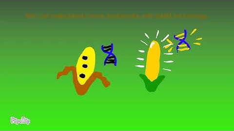 Agricultural Pollution