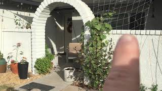 Bjørn Pergola overview for modern custom structure for shade, hops, and a new focal point