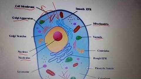EL 306 Unit 1 Electrical characteristics of cell by Ruchi mem GPC Pali