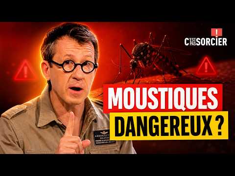 Pourquoi les moustiques sont dangereux ? - C'est pas sorcier