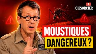 Pourquoi les moustiques sont dangereux ? - C'est pas sorcier
